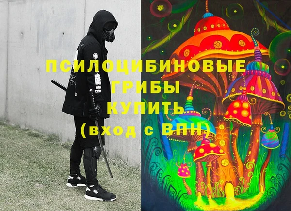 индика Алексеевка