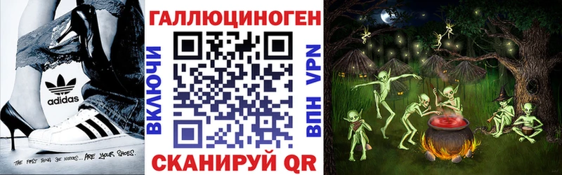 МЕГА как войти  сколько стоит  Краснообск  Галлюциногенные грибы Psilocybine cubensis 